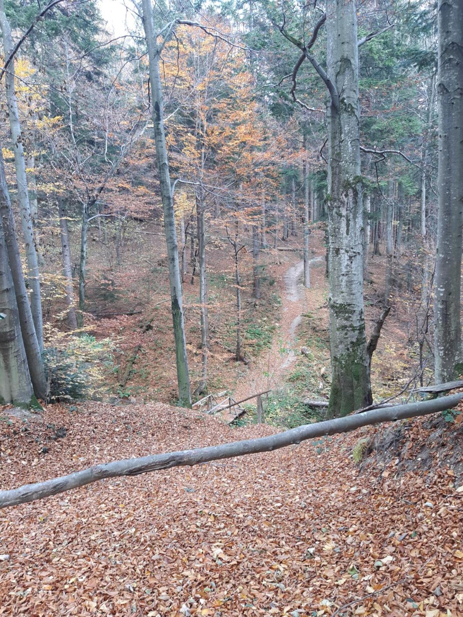 Chata Pod Wyciagiem Wańkowa Zewnętrze zdjęcie